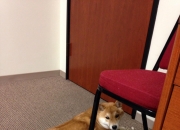 开云官方app入口-当红龙之翼掠过F1赛道，威尔士绝杀之夜与阿拉巴的跨界统治