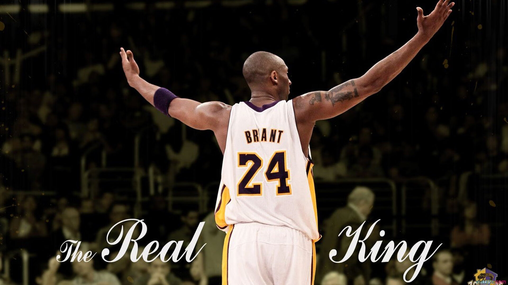 从质疑到主宰，克莱用实力打破质疑，浙江队横扫广厦展现冠军相