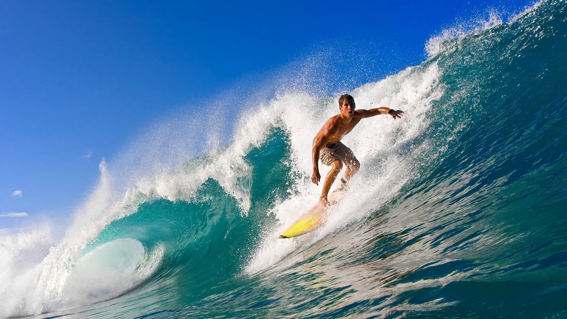 猛龙横扫福建队，浓眉哥关键制胜，一场定义赛季的战役